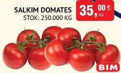 SALKIM DOMATES KG SALKIM DOMATES KG